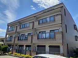 プラムフォレスト