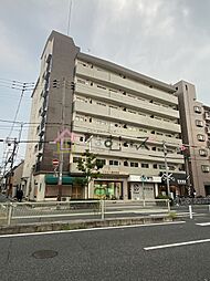 Grand Corp Cattleya