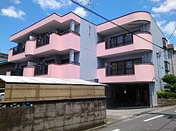 ファインバード