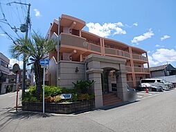 セレンディピティ　O・V