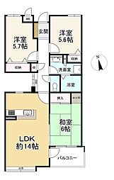 ダイアパレス輝国第2