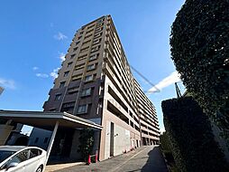 ウィズ松戸見晴らしの丘 808号室