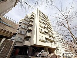 小石川ビューパレー