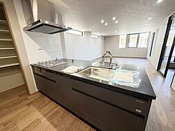 文京区向丘2丁目 新築戸建