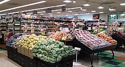 千本北1丁目 _売土地