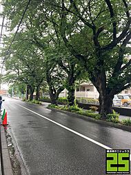 相模原市中央区淵野辺１丁目売地 宅地１