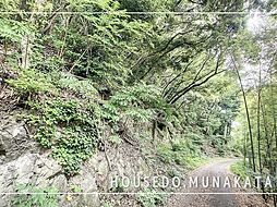 岡垣町三吉約1788.07坪