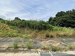 王丸約796.48坪