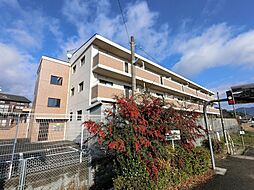 ブルースカイ土井 103