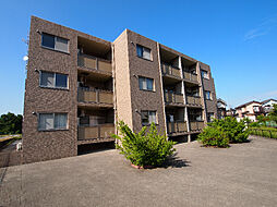 ハートフルマンションVenere 305