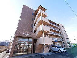 ドリーミィー 205