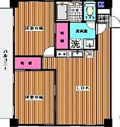フローラ・K 202