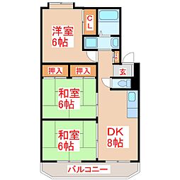 ドルチェ大竜