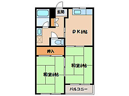 グリーンシールズオコ
