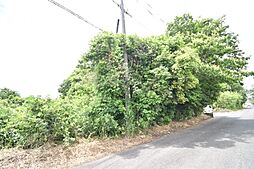 鹿屋市新生町(10262-2)　売地