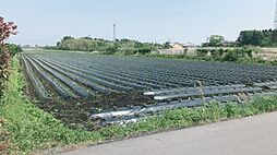 鹿屋市下堀町　売地