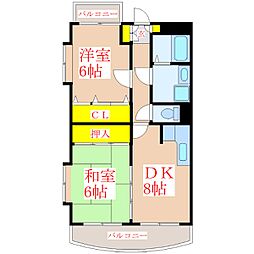 レティツィア光風