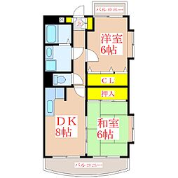 レティツィア光風