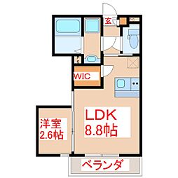 ＰＡＮＩＧＡＬＥ