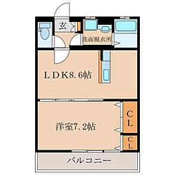 Ｐｉａ　Ｂｅｌｌｉｓ