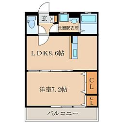 Ｐｉａ　Ｂｅｌｌｉｓ