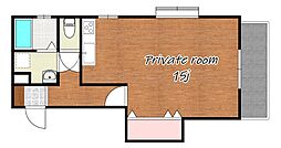 ドミール・ジュネス