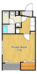 Ｃａｖａｔｉｎａ