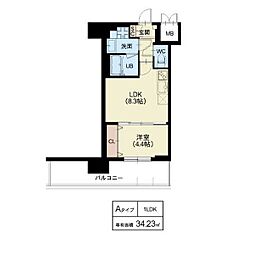 Splendide NAMBAIII 1421