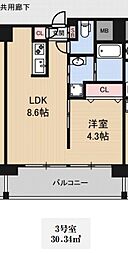 アニマーレ長堀 303