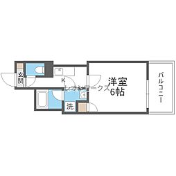 Luce Kujonishi 502