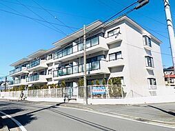 サンガーデン菊名 205