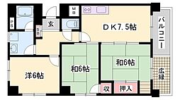 シャルムヒメゴー