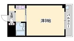 セントポーリア