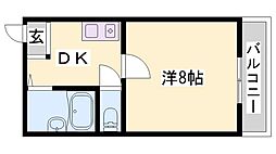 シャインコスモ