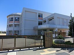 平津C