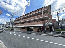 エバーグリーン