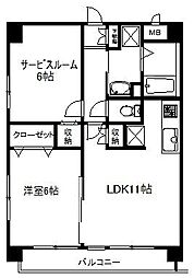 ウィステリア西新井 203