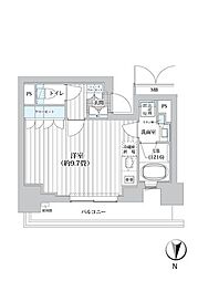 ライオンズフォーシア清澄白河 1105