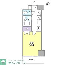 サンフラワー第6 0705