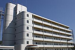 ノーザンレイク米原