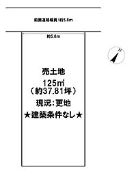 小谷丁野町 売土地