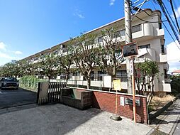 佐倉市井野