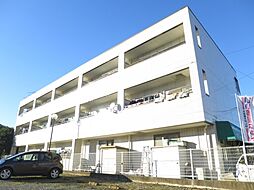 佐倉市井野