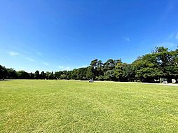 三鷹市井の頭2丁目の土地