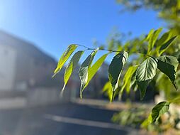 杉並区松庵3丁目の土地