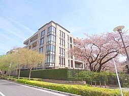 パークシティ浜田山B棟