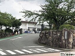 新宮町三代西1丁目