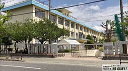 アンピール比恵南