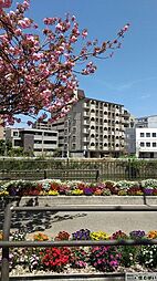 マンション鳥飼204 204