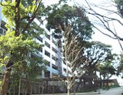 渋谷区神宮前１丁目